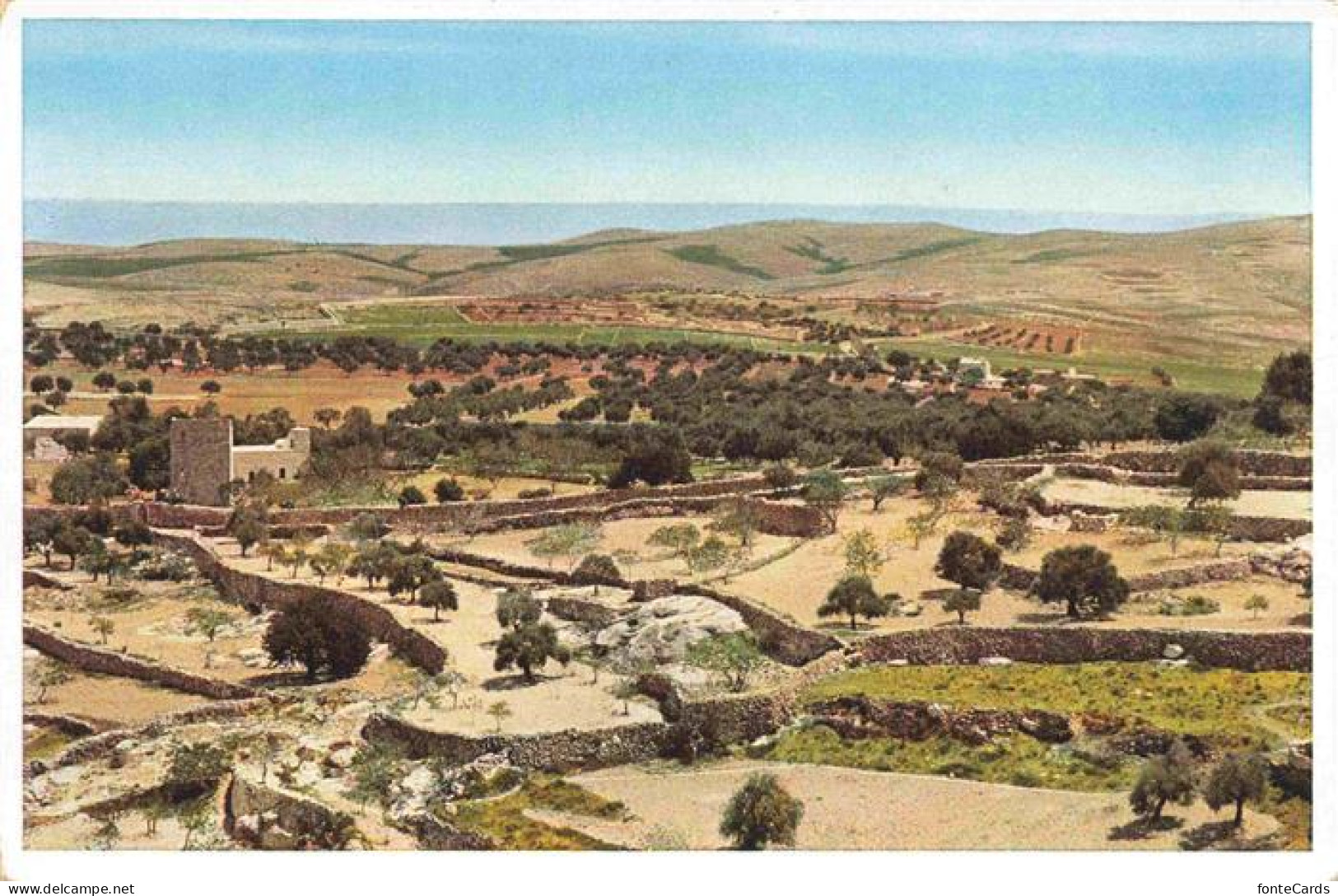 73968764 Bethlehem__Yerushalayim_Israel View Towards The Desert And The Field Of - Israel