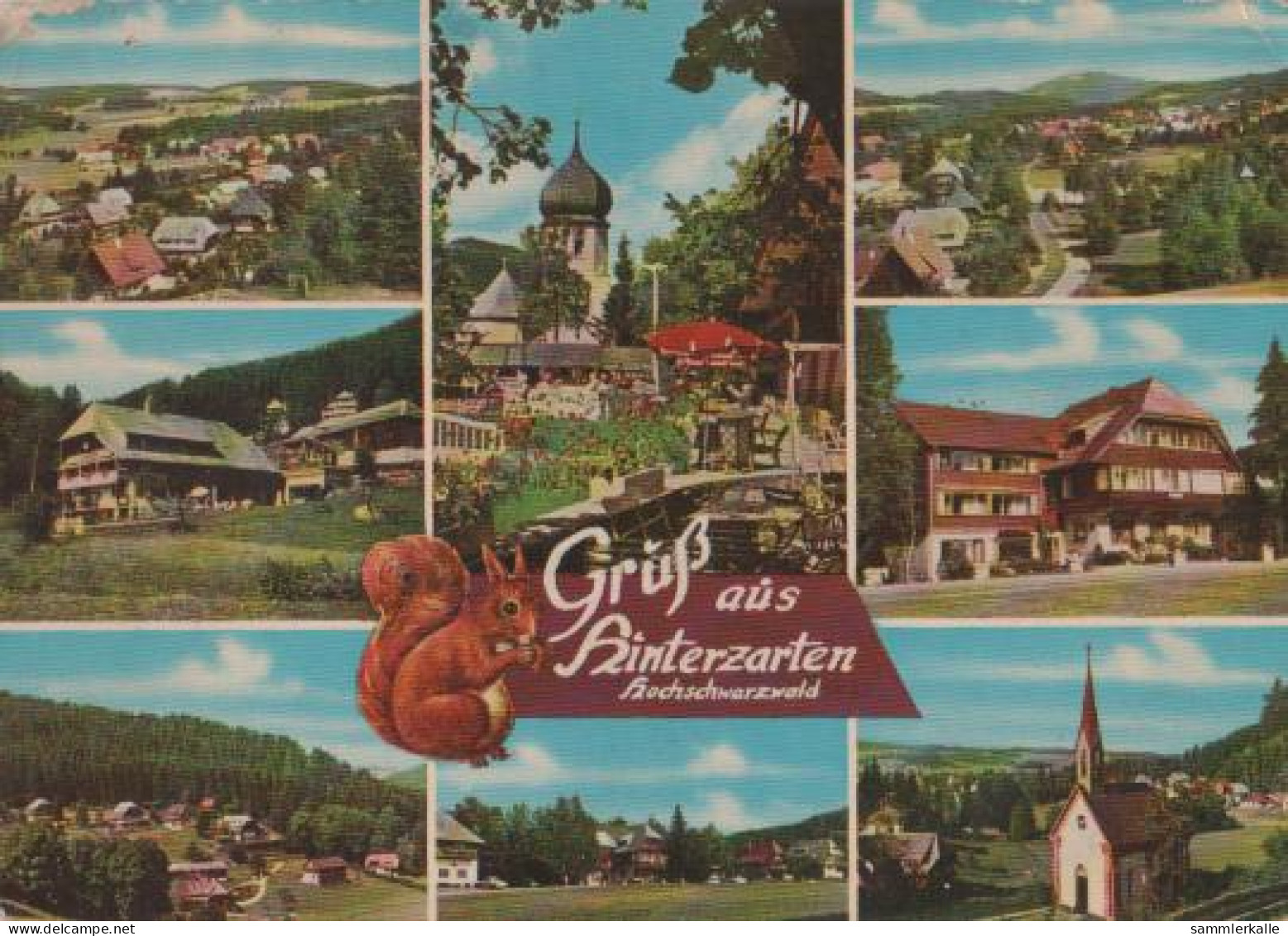 21521 - Hinterzarten Hochschwarzwald - 1966 - Hinterzarten