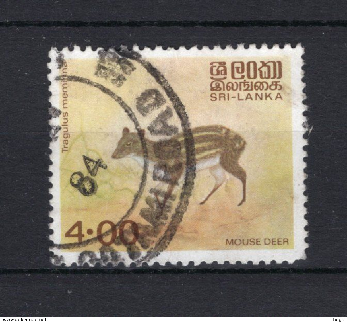 SRI LANKA Yt. 562C° Gestempeld 1981 - Sri Lanka (Ceylon) (1948-...)