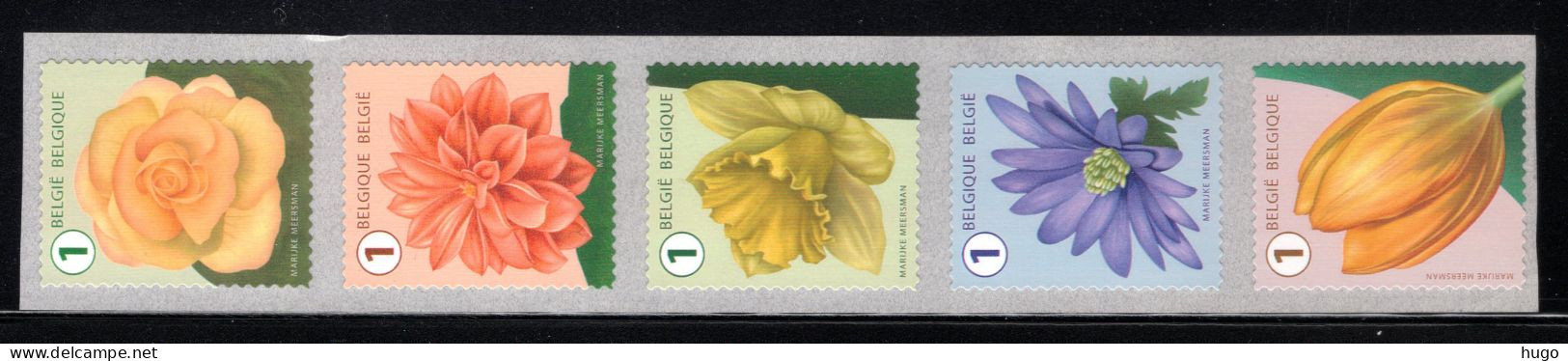 R143 MNH 2016 - Verschillende Bloemen Met Nummer - 3 - Coil Stamps