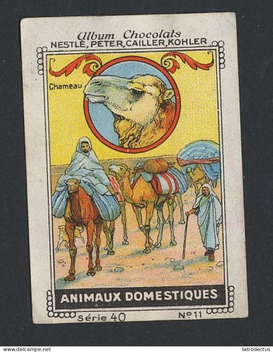 Nestlé - 40 - Animaux Domestiques, Domesticated Animals - 11 - Chameau, Camel - Nestlé