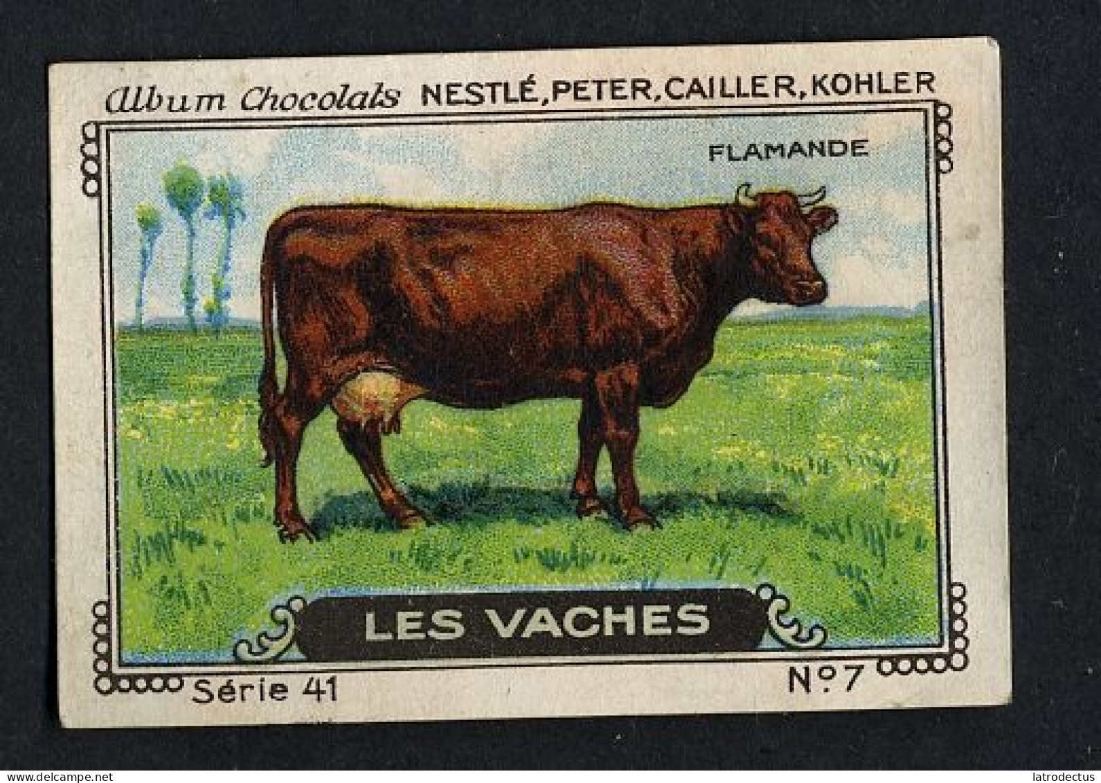 Nestlé - 41 - Les Vaches, Cows - 7 - Flamande - Nestlé