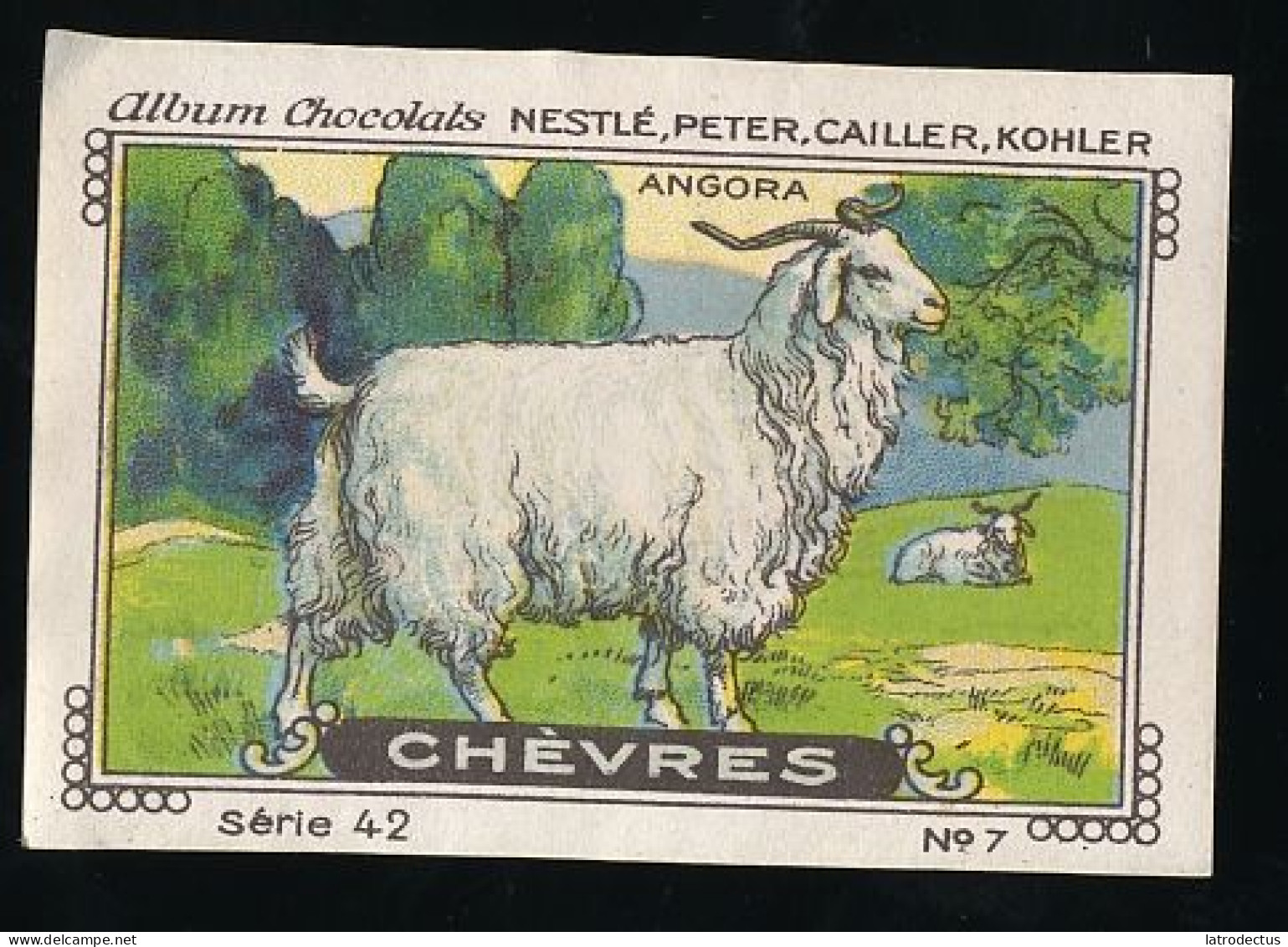 Nestlé - 42 - Chèvres, Goats - 7 - Angora - Nestlé
