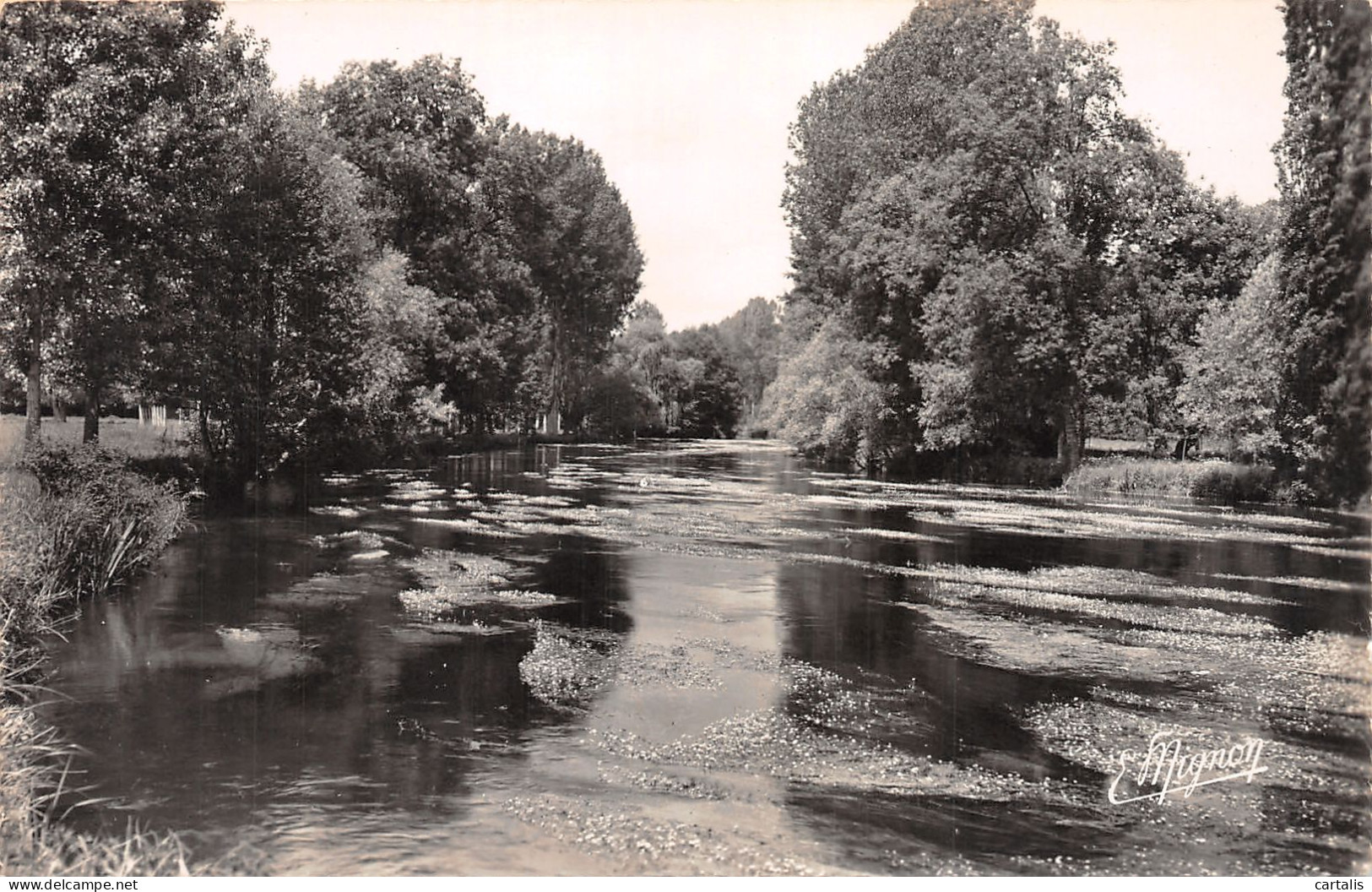 27-SAINT GEORGES MOTEL-N°C4052-D/0031 - Saint-Georges-Motel