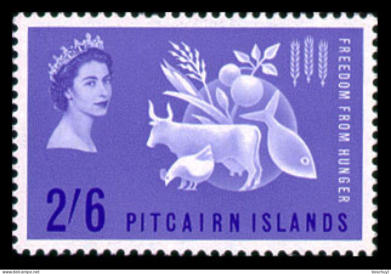 Pitcairn, 1963, Freedom From Hunger, FAO, United Nations, MNH, Michel 35 - Islas De Pitcairn