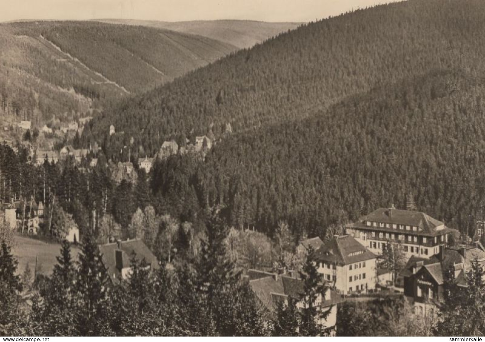 131194 - Altenberg-Kipsdorf - Blick Von Bärenfels - Kipsdorf