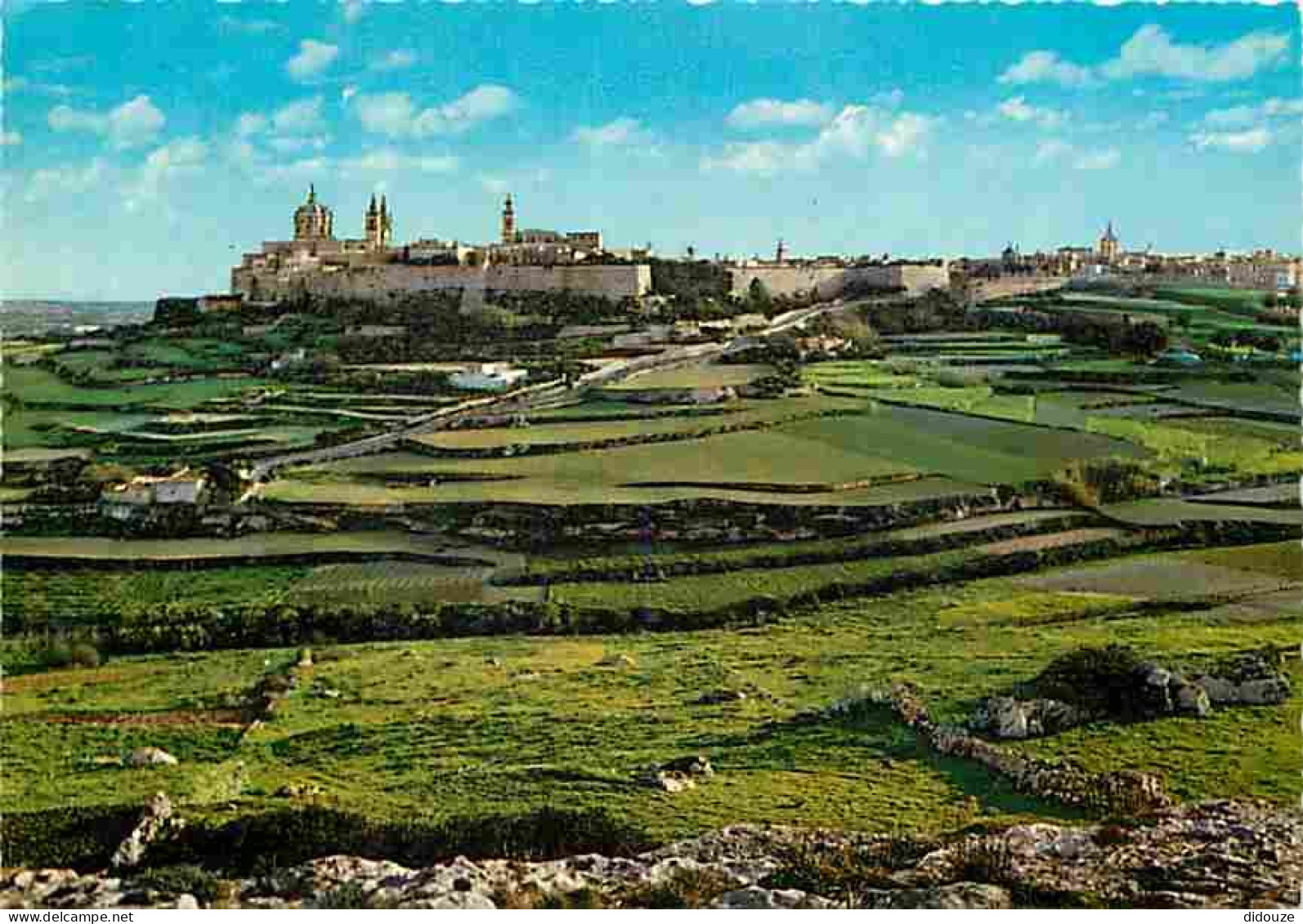 Malte - Valley Beyond The Bastions Of Mdina - CPM - Voir Scans Recto-Verso - Malta