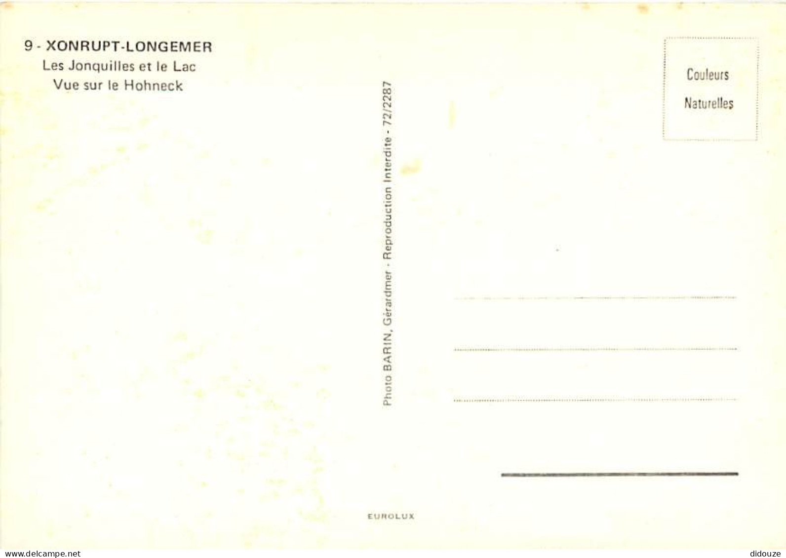 88 - Xonrupt-Longemer - Les Jonquilles Et Le Lac - Vue Sur Le Hohneck - CPM - Voir Scans Recto-Verso - Xonrupt Longemer