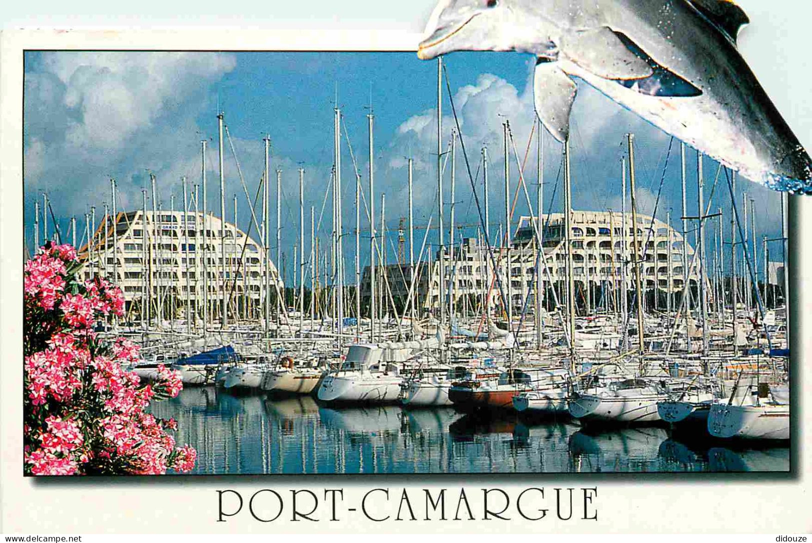Animaux - Dauphin - Dolphin - Port Camargue - CPM - Voir Scans Recto-Verso - Delphine
