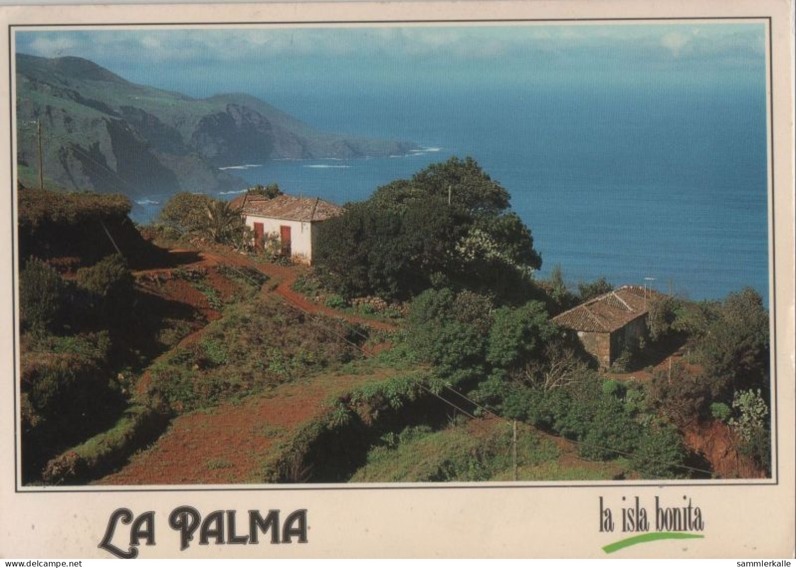 121228 - La Palma - Spanien - Costa Norte - La Palma