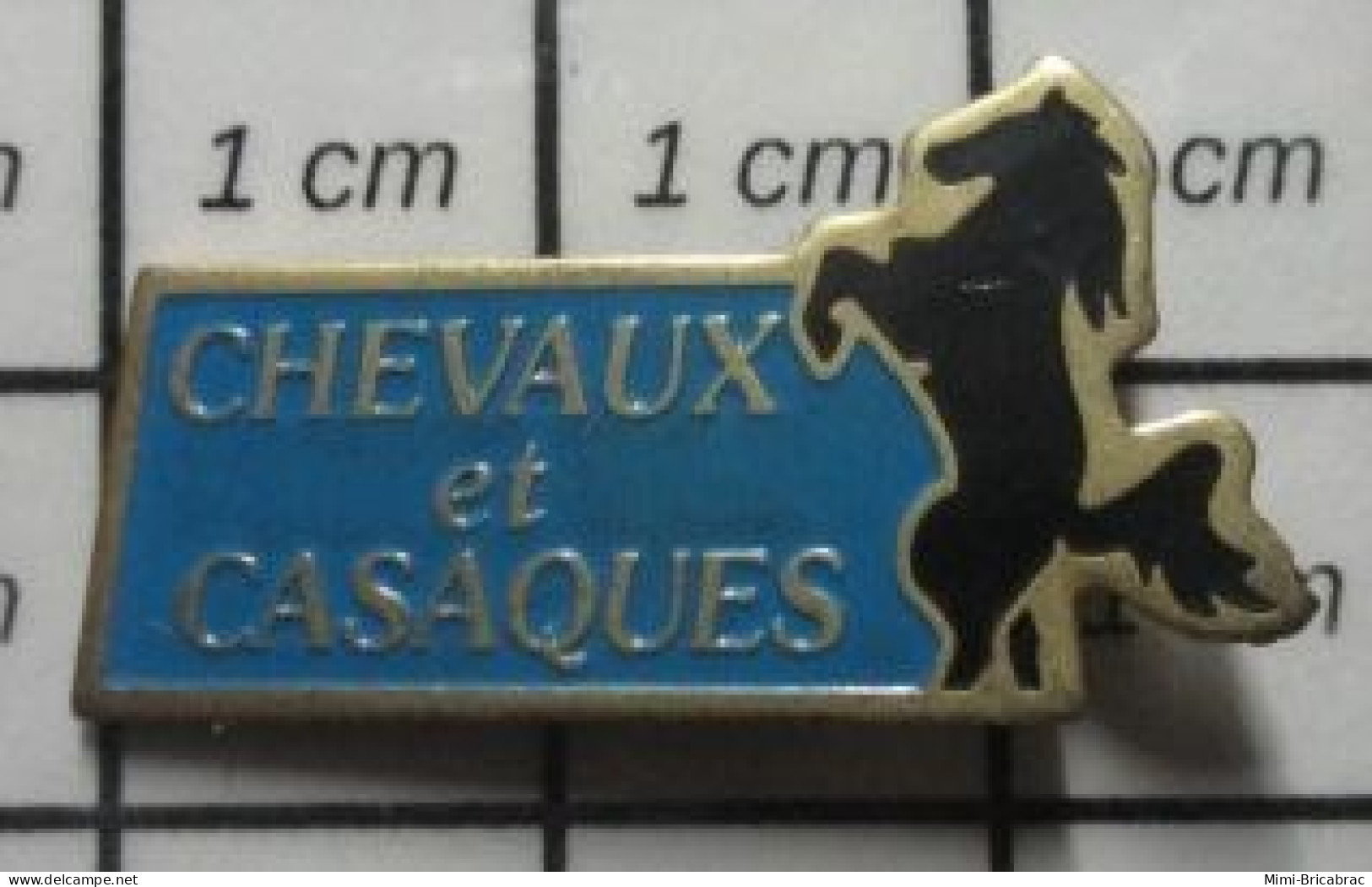 713B  Pin's Pins / Beau Et Rare / MEDIAS / REVUE MAGAZINE PRESSE ECRITE CHEVAUX ET CASAQUES - Médias