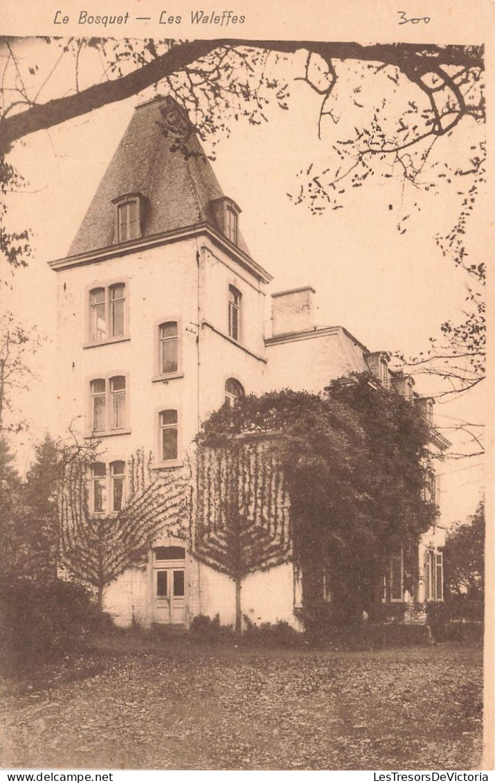 BELGIQUE - Le Bosquet - Les Waleffes - Vue Générale - Vue De L'extérieure - Carte Postale Ancienne - Faimes