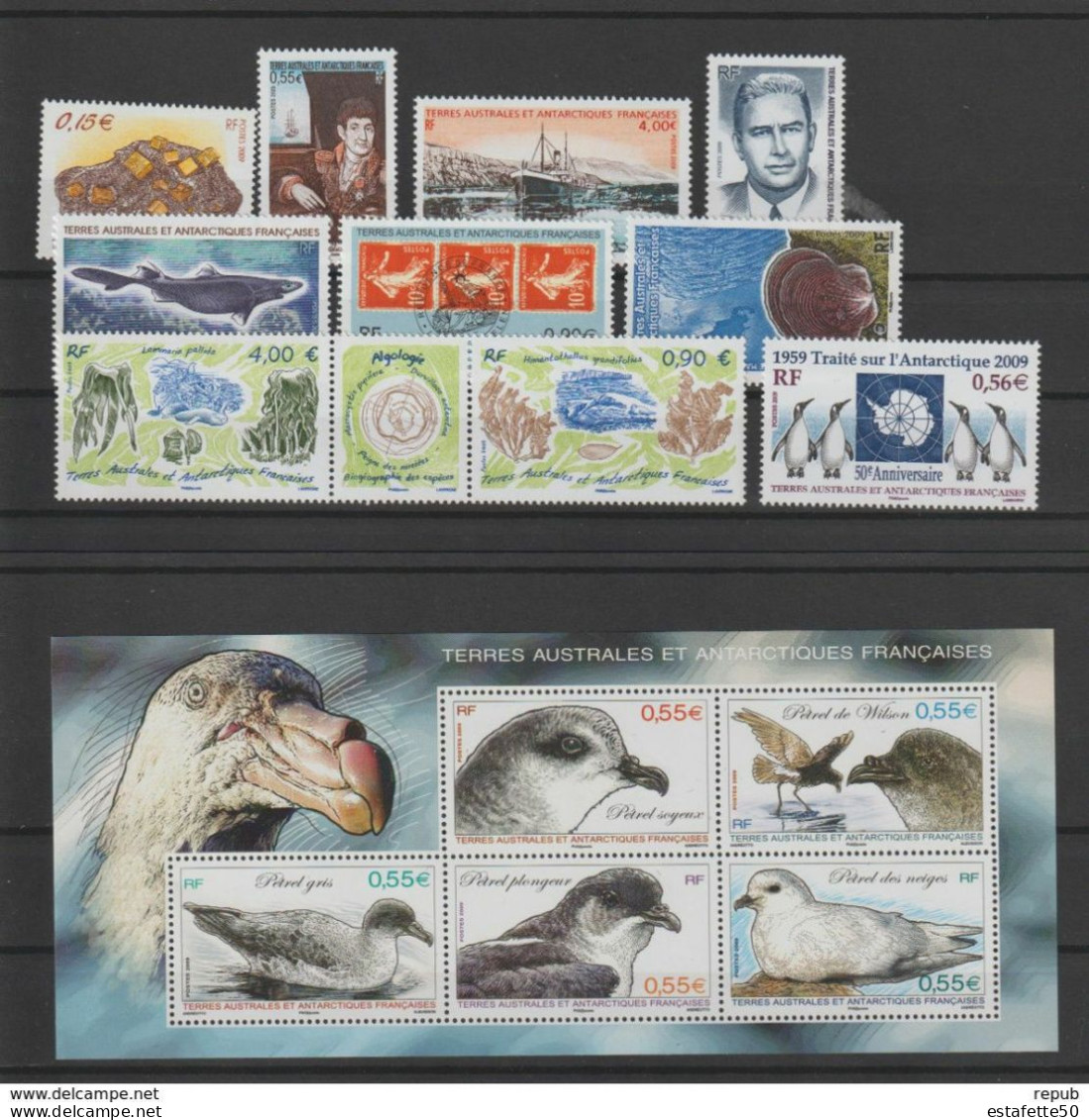 TAAF; FSAT ;2009;année Complète;n° 521 à 551; + BF N°22 ;NEUFS**;MNH - Komplette Jahrgänge