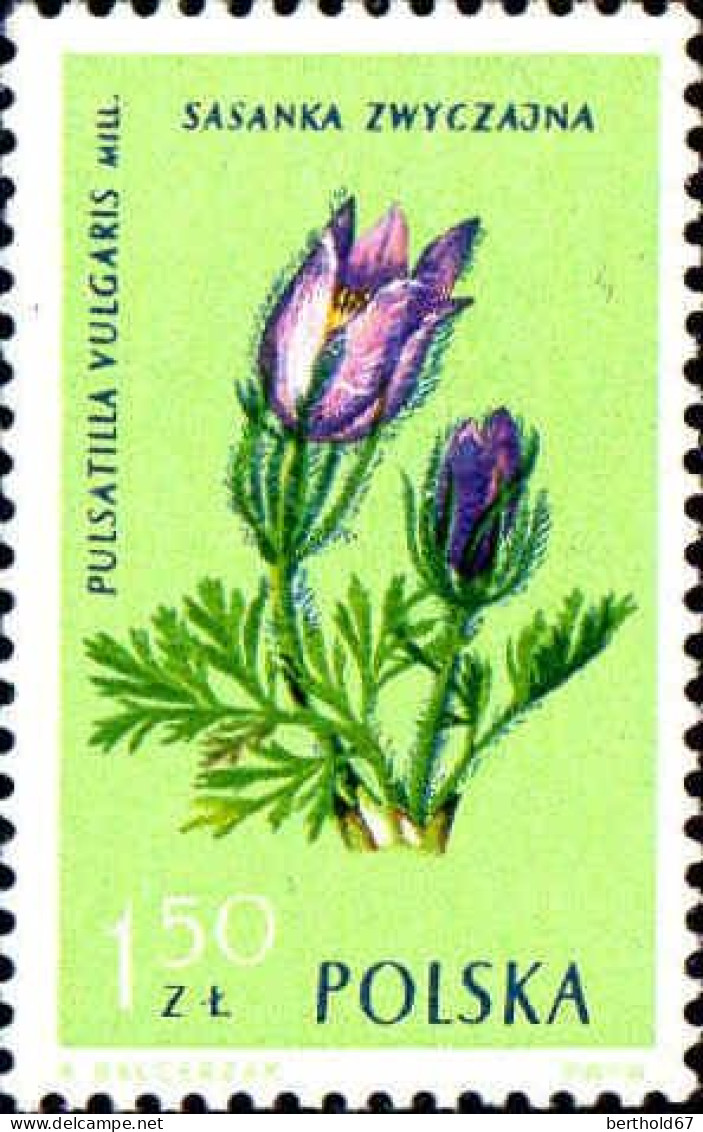 Pologne Poste N** Yv:1185/1196 Fleurs