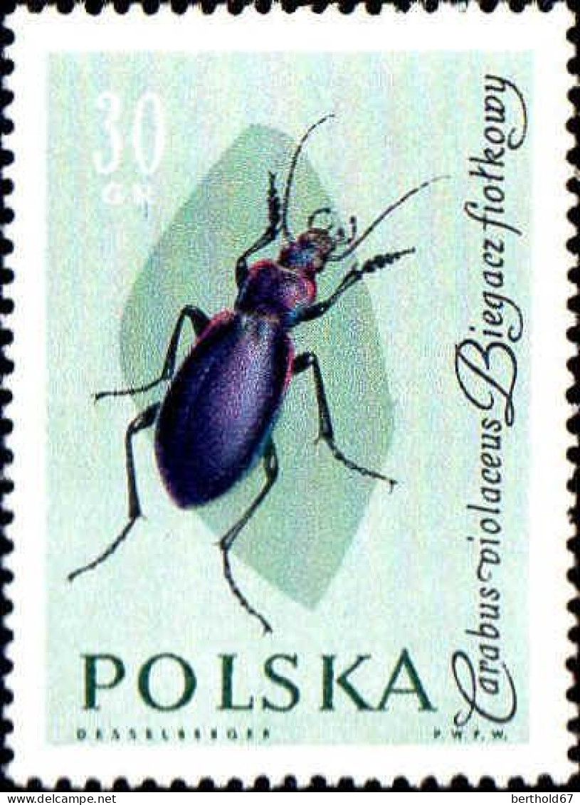 Pologne Poste N** Yv:1140-1150 Protection Des Insectes Utiles - Nuevos