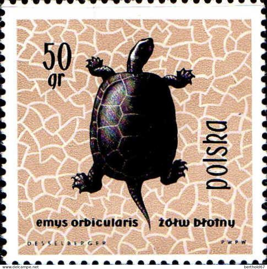 Pologne Poste N** Yv:1259/1270 Reptiles & Amphibiens - Neufs