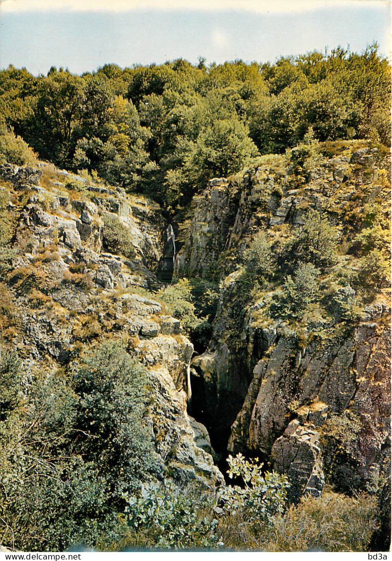 81 - MONTREDON LABESSONNIE CASCADE D'ARIFAT - Montredon Labessonie