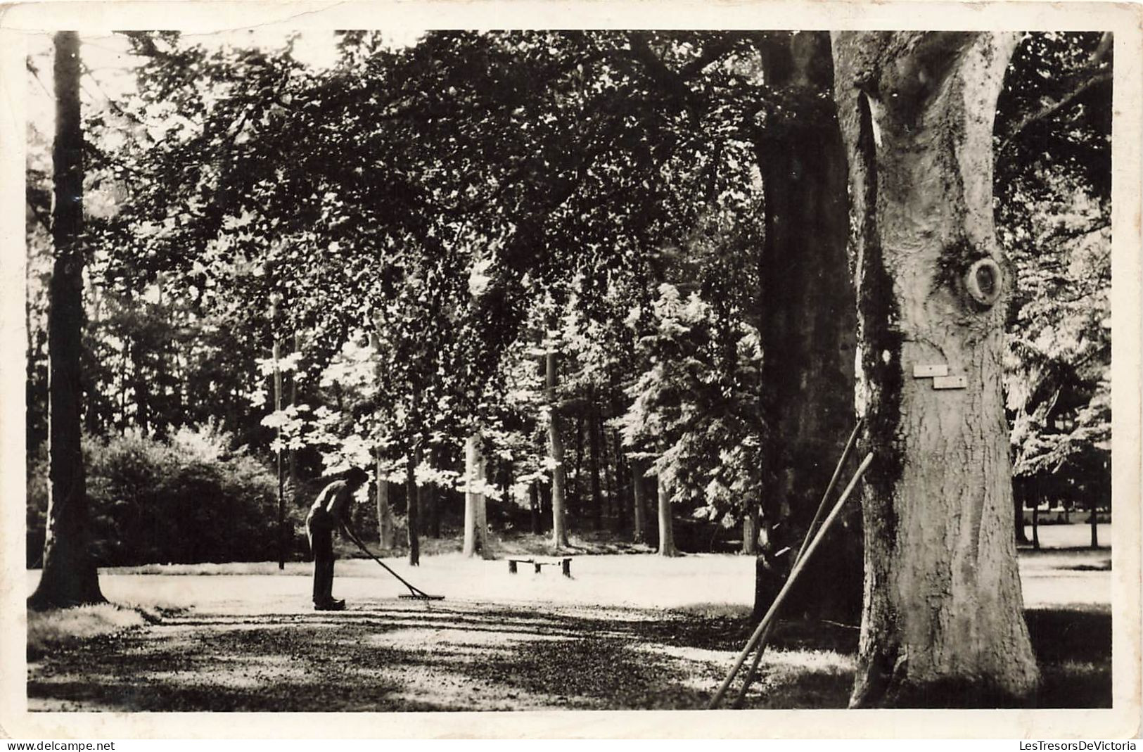 PAYS BAS - Laag Soeren - Vacantie Oord Amsterda - Carte Postale Ancienne - Rheden