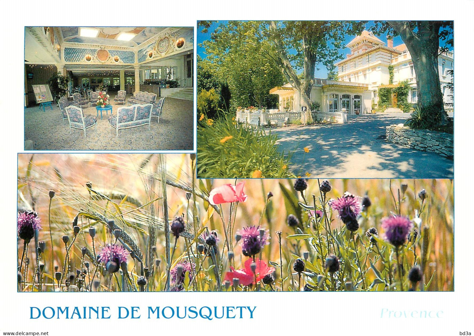 84 - L'ISLE SUR SORGUE DOMAINE DE MOUSQUETY - L'Isle Sur Sorgue