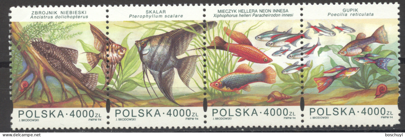 Poland, 1994, Aquarium Fish, Animals, MNH Strip, Michel 3505-3508 - Nuovi