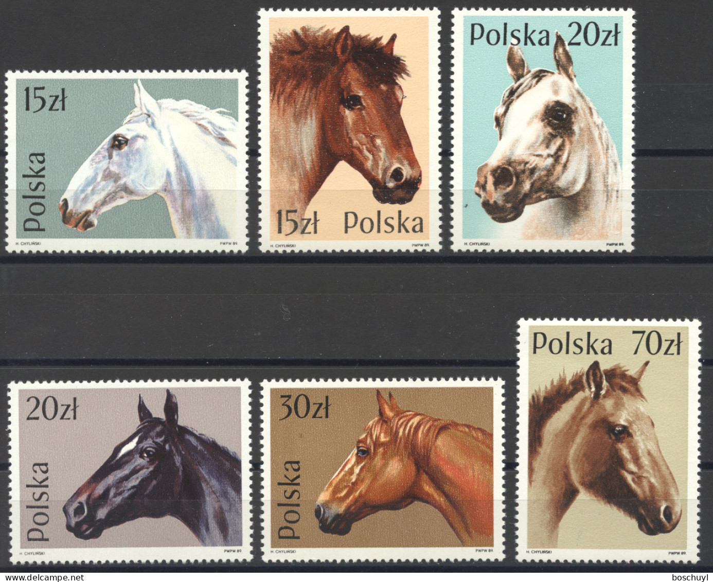 Poland, 1989, Horses, Animals, MNH, Michel 3190-3195 - Ongebruikt