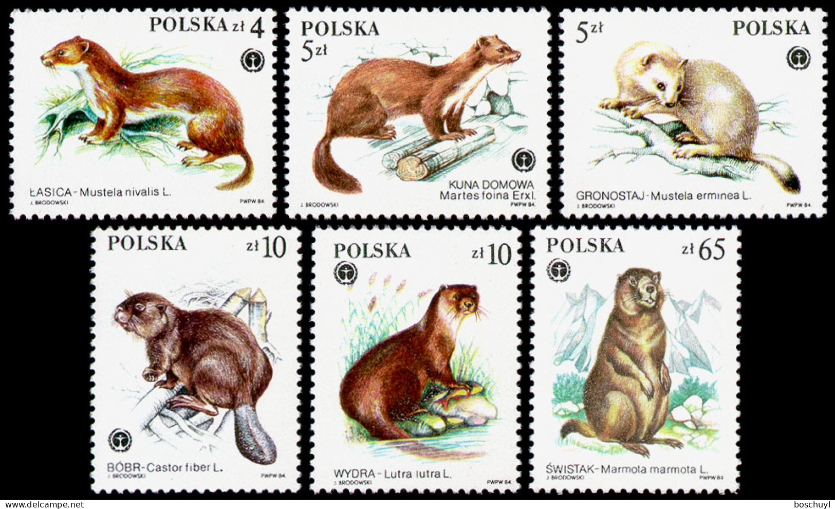 Poland, 1984, Protected Animals, Fauna, UNEP, United Nations, MNH, Michel 2946-2951 - Nuevos