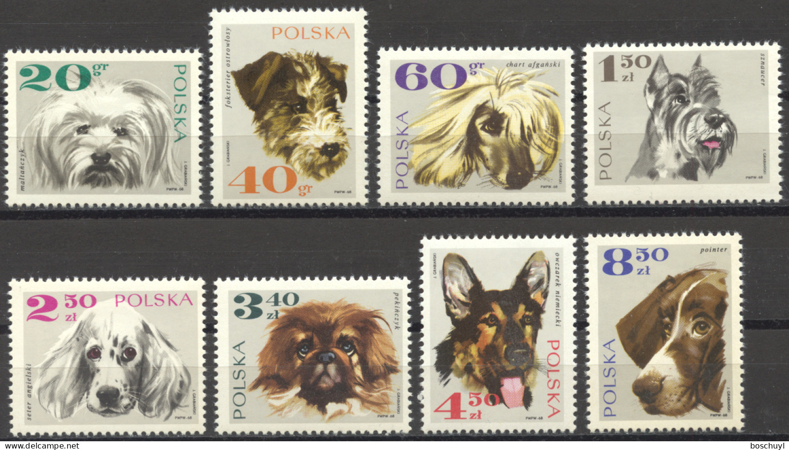 Poland, 1969, Dogs, Animals, MNH, Michel 1898-1905 - Ongebruikt