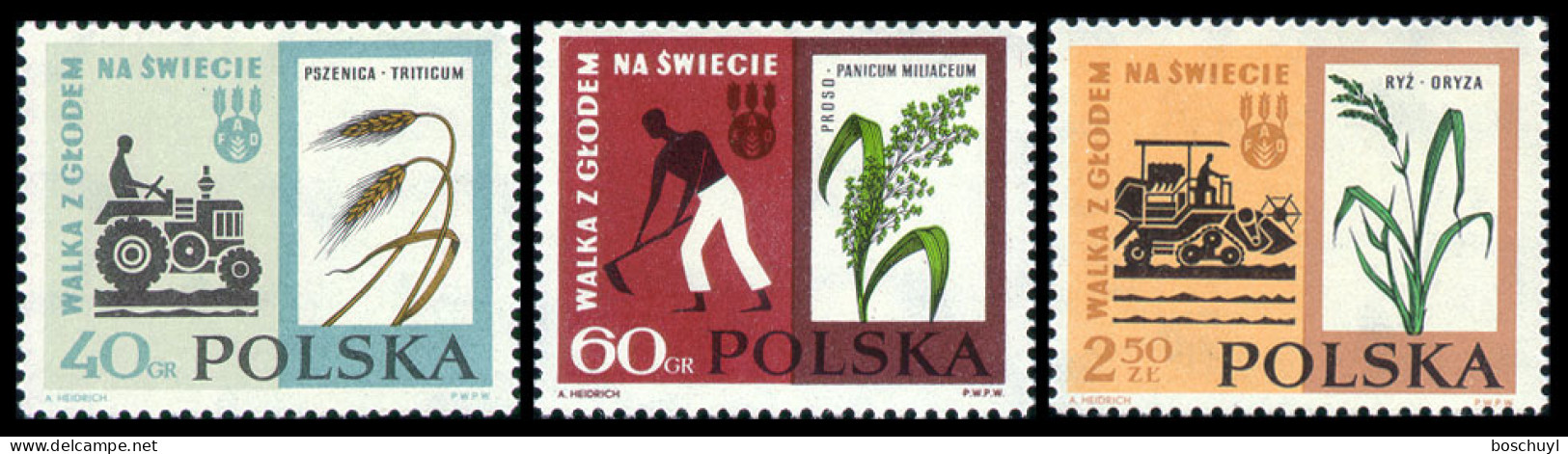 Poland, 1963, Freedom From Hunger, FAO, United Nations, MNH, Michel 1371-1373 - Unused Stamps