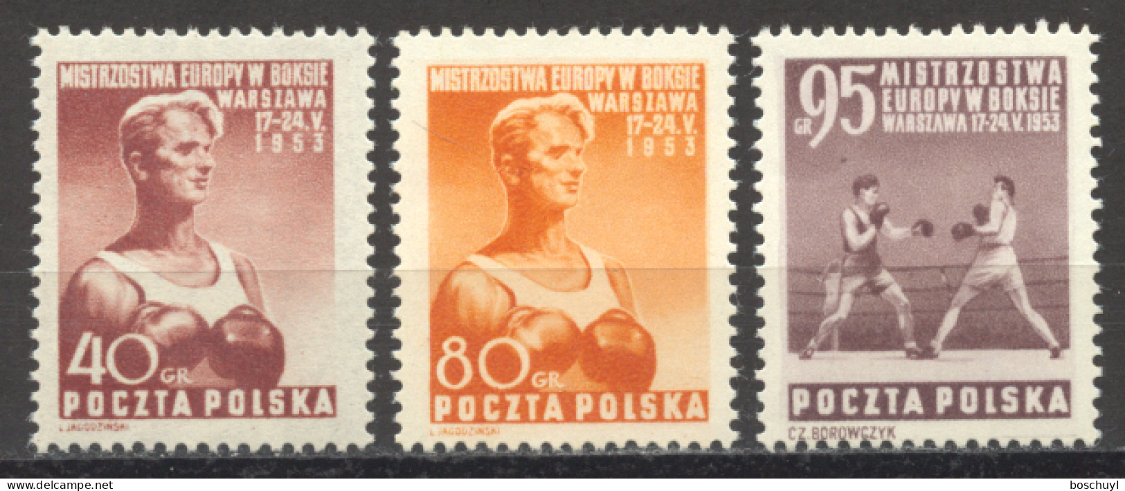Poland, 1953, European Boxing Championships, Sports, MNH, Michel 802-804 - Neufs
