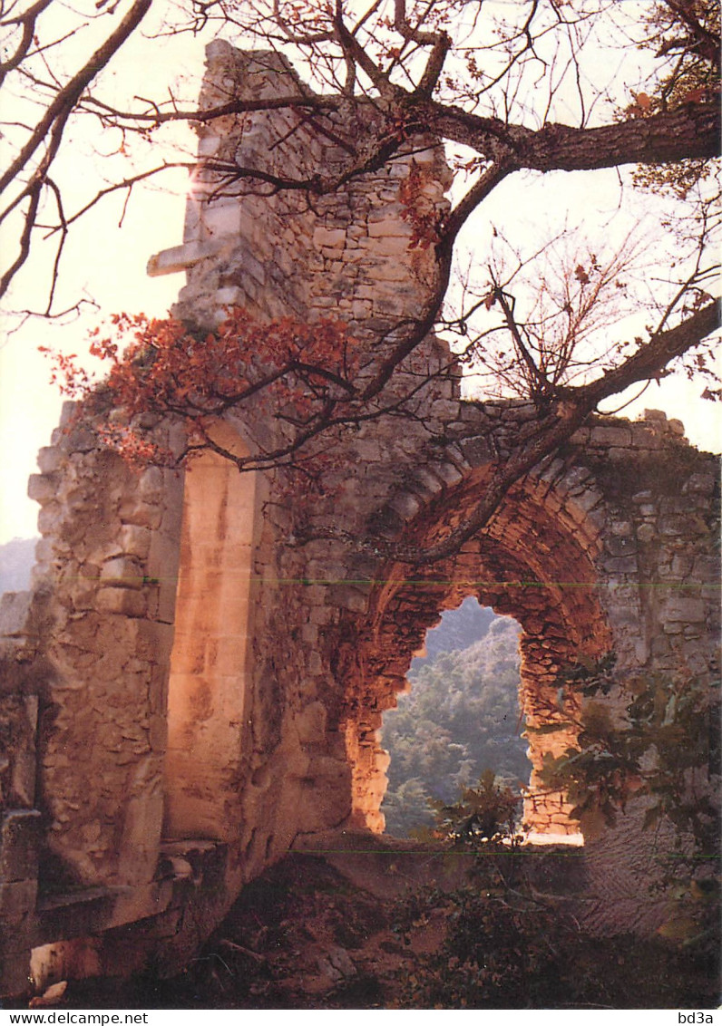 84 - OPPEDE LE VIEUX RUINES DU CHÂTEAU - Oppede Le Vieux