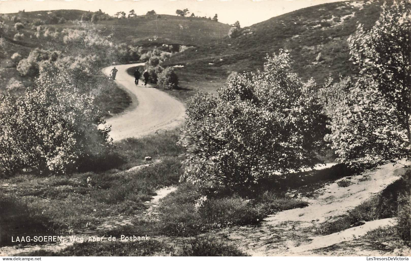 PAYS BAS - Laag Soeren - Weg Naar De Posbank - Carte Postale - Rheden