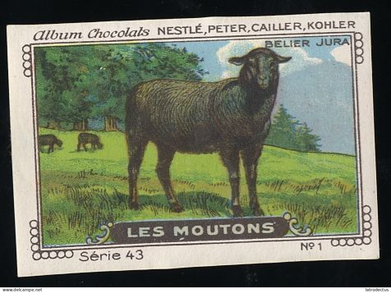 Nestlé - 43 - Les Moutons, Sheep - 1 - Belier Jura - Nestlé