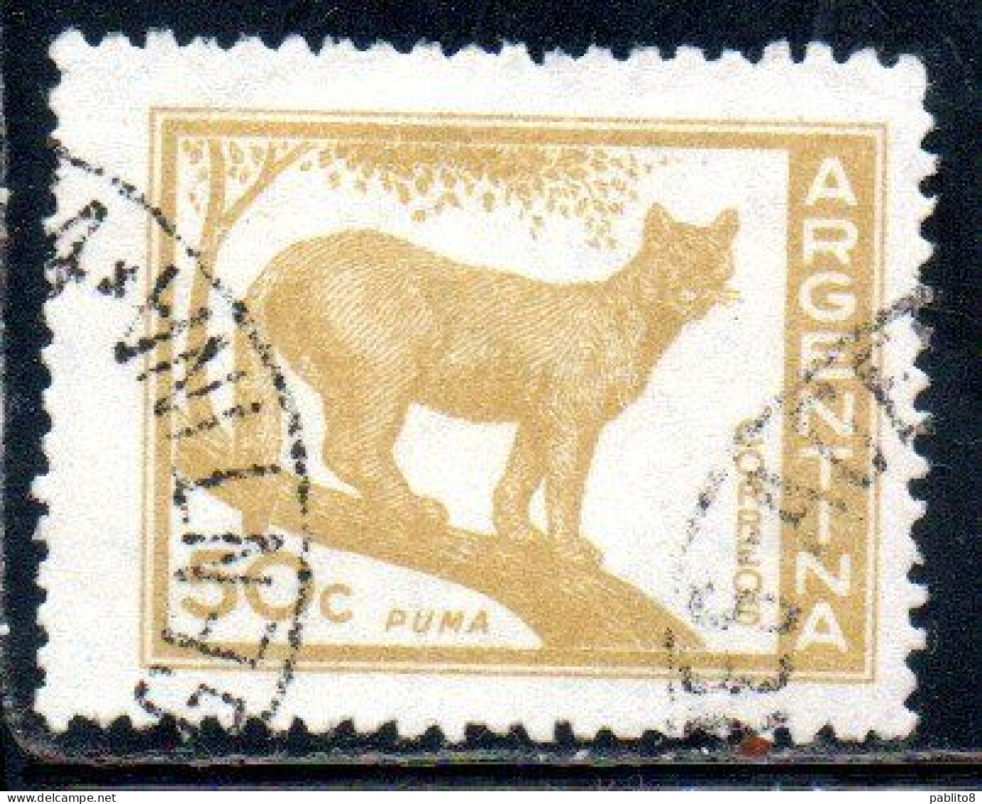 ARGENTINA 1959 1960 FAUNA ANIMALS PUMA 50c USED USADO OBLITERE' - Usados