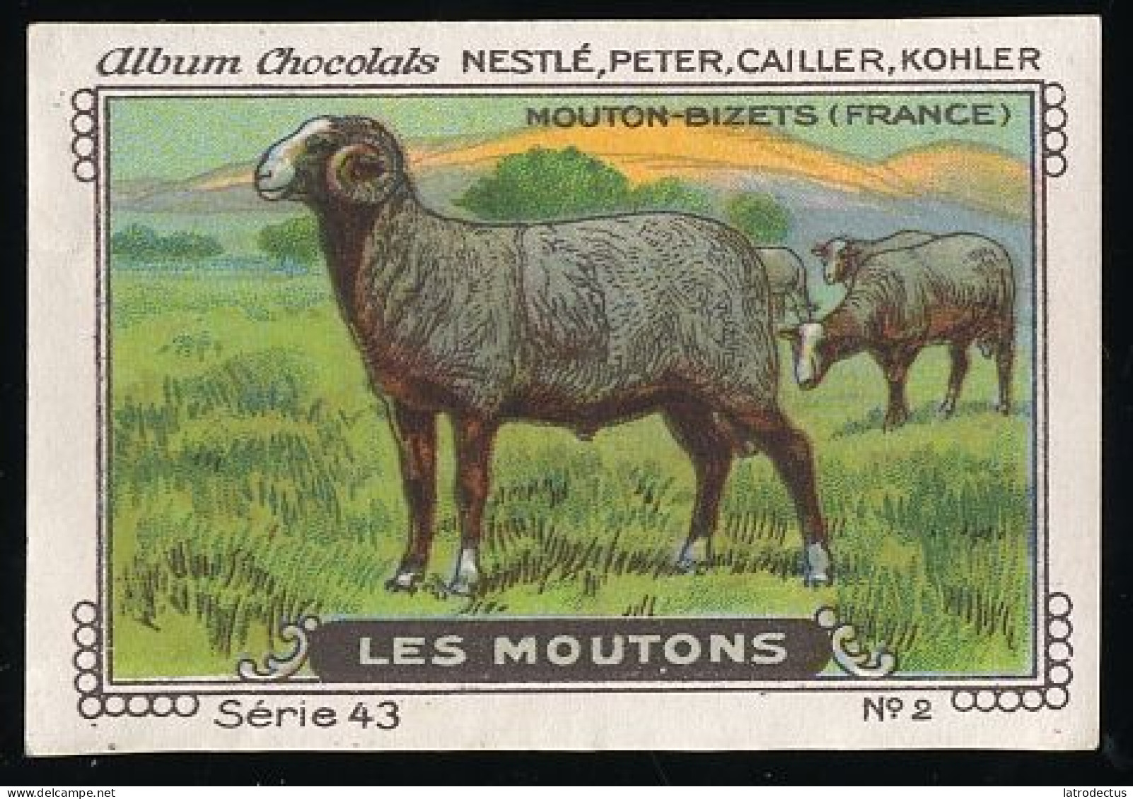 Nestlé - 43 - Les Moutons, Sheep - 2 - Mouton-Bizets (France) - Nestlé