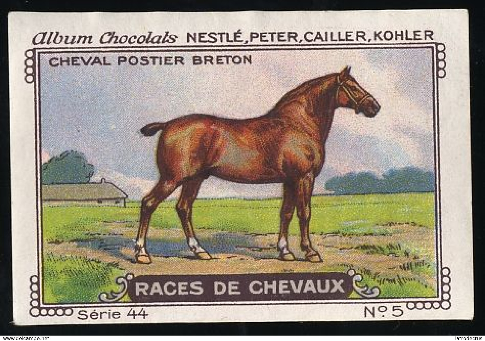 Nestlé - 44 - Races De Chevaux, Horses - 5 - Cheval Postier Breton - Nestlé