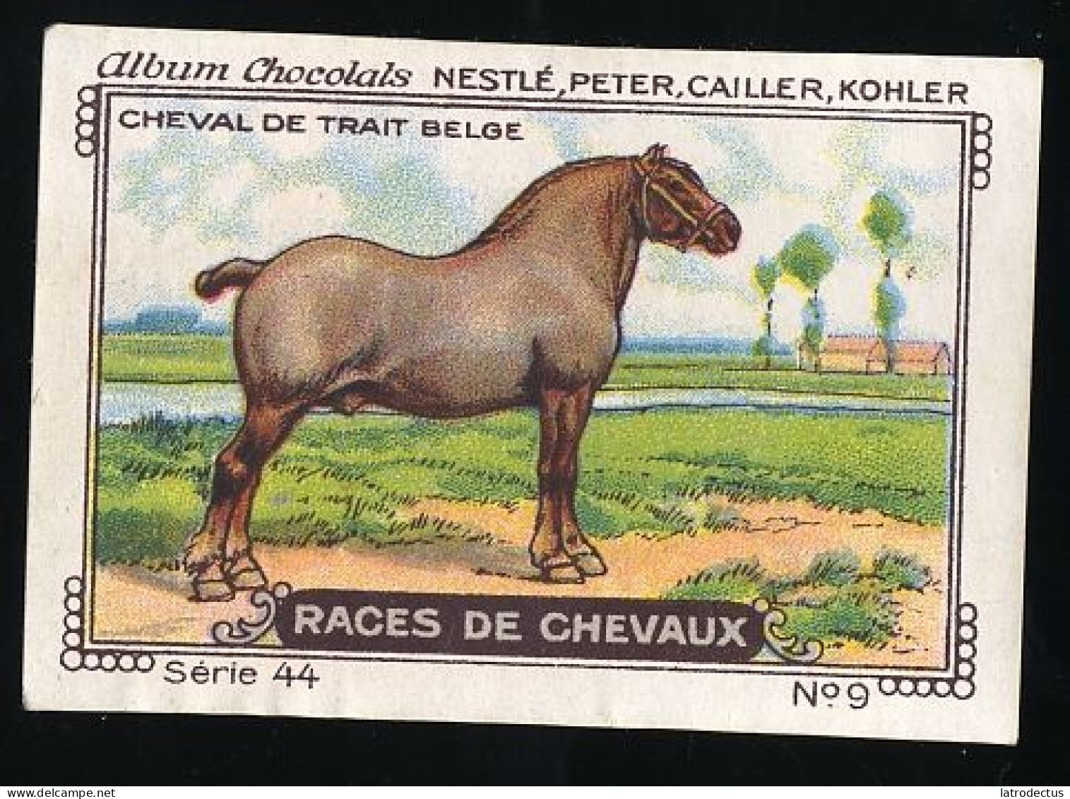 Nestlé - 44 - Races De Chevaux, Horses - 9 - Cheval De Trait Belge - Nestlé