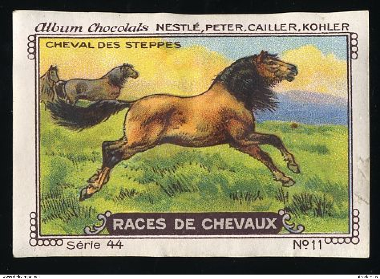 Nestlé - 44 - Races De Chevaux, Horses - 11 - Cheval Des Steppes, Mustang - Nestlé