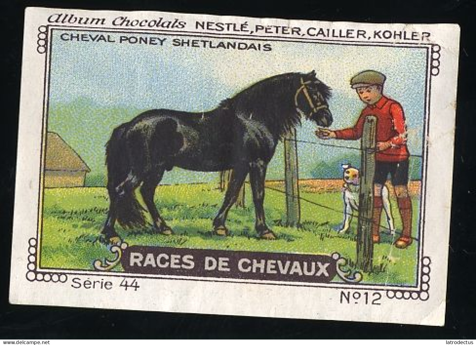 Nestlé - 44 - Races De Chevaux, Horses - 12 - Cheval Poney Shetlandais - Nestlé