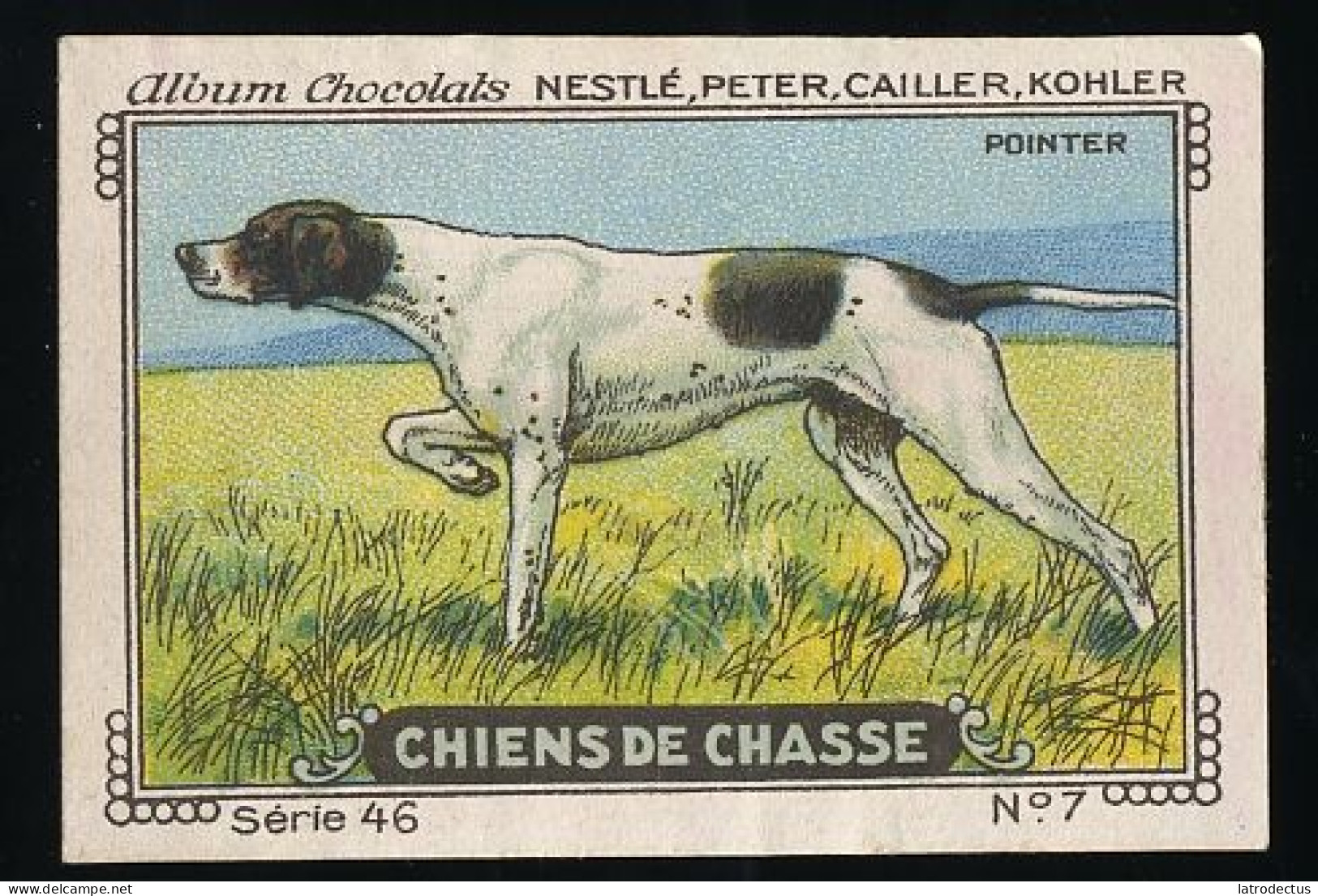 Nestlé - 46 - Chiens De Chasse, Hunting Dogs - 7 - Pointer - Nestlé