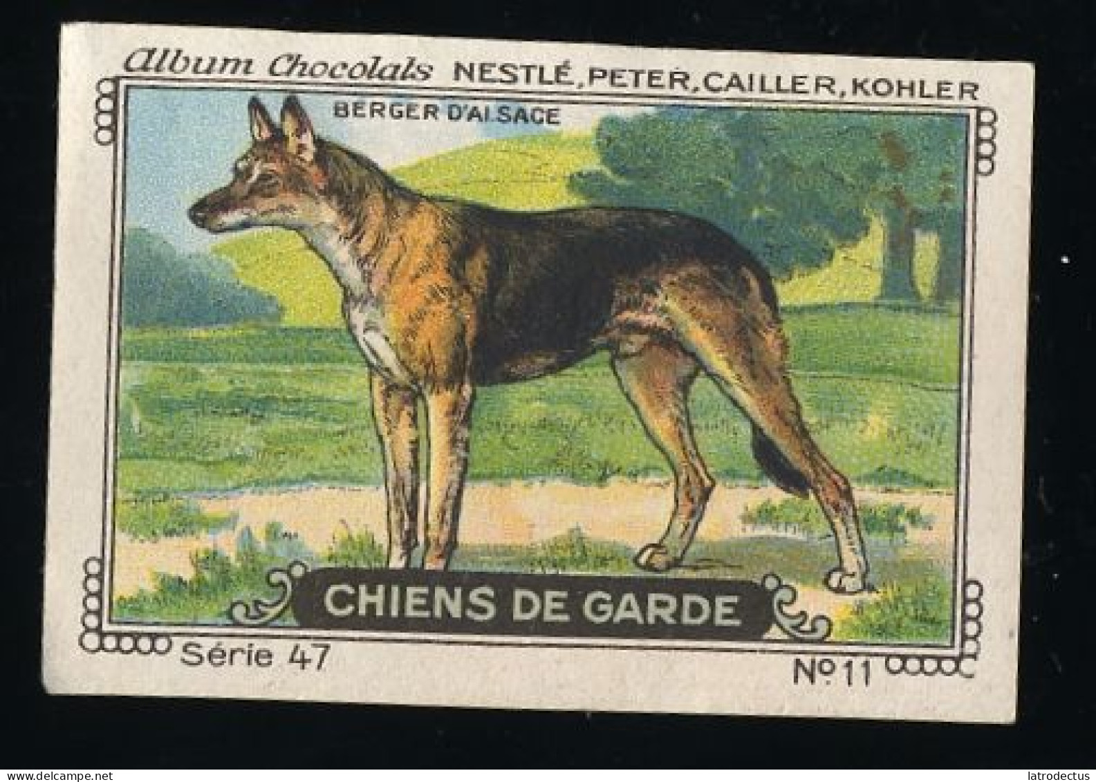 Nestlé - 47 - Chiens De Garde, Watchdogs - 11 - Berger D'Alsace, Berger Allemand, German Shepherd - Nestlé