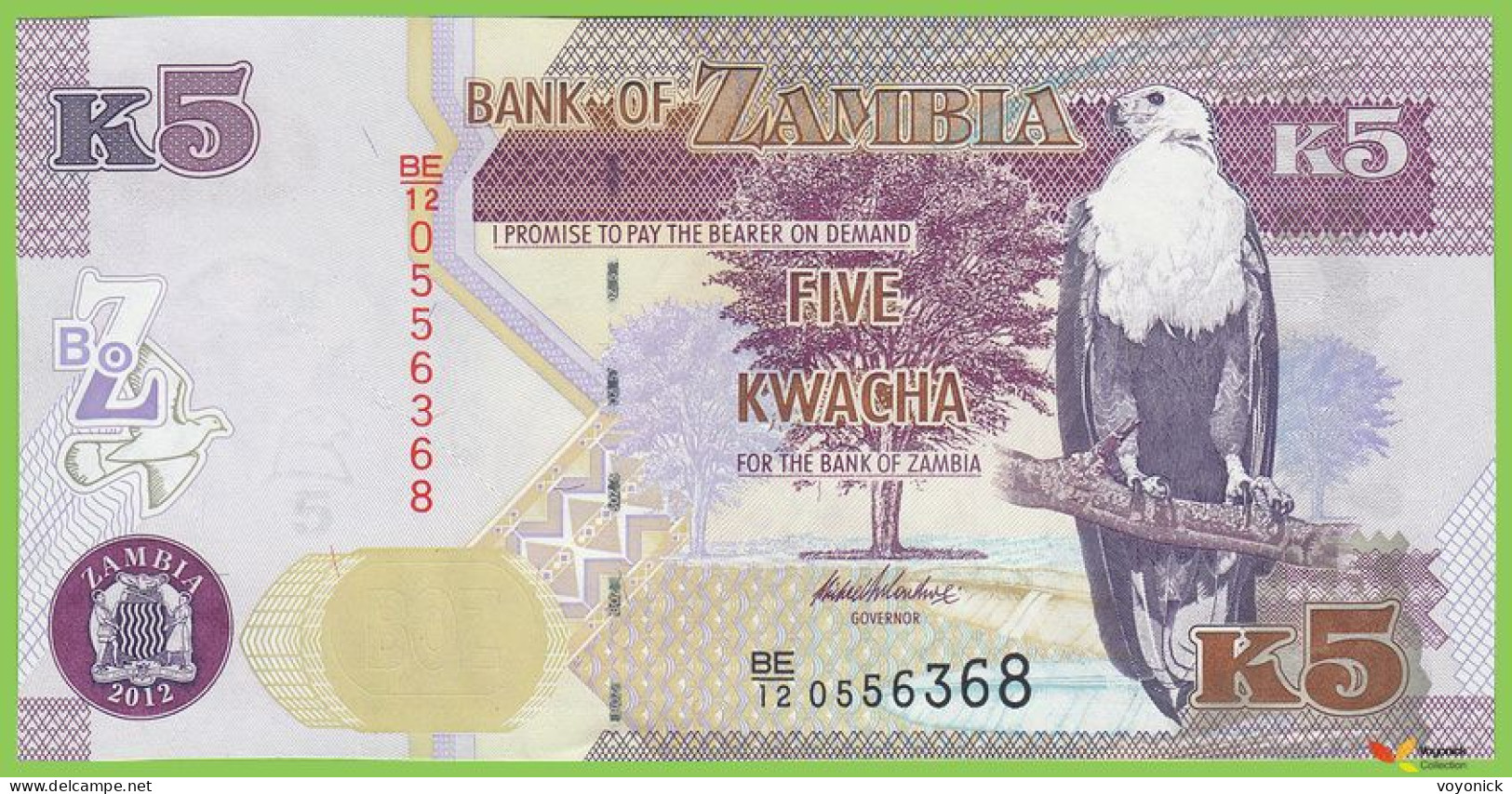 Voyo ZAMBIA 5 Kwacha 2012(2013) P50a B153a BE/12 UNC Fish Eagle - Sambia