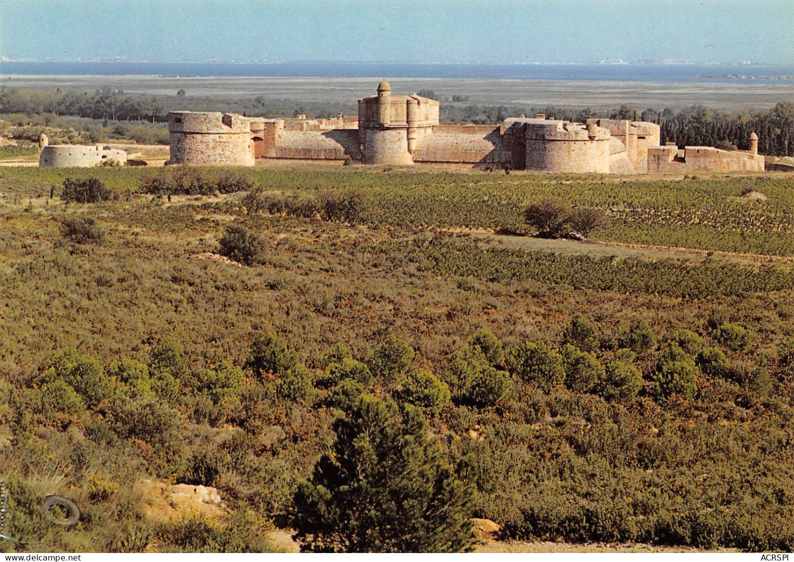 SALSES  Le Château Fort - Vue Générale Vers La Mer    14(scan Recto Verso)MH2979 - Salses