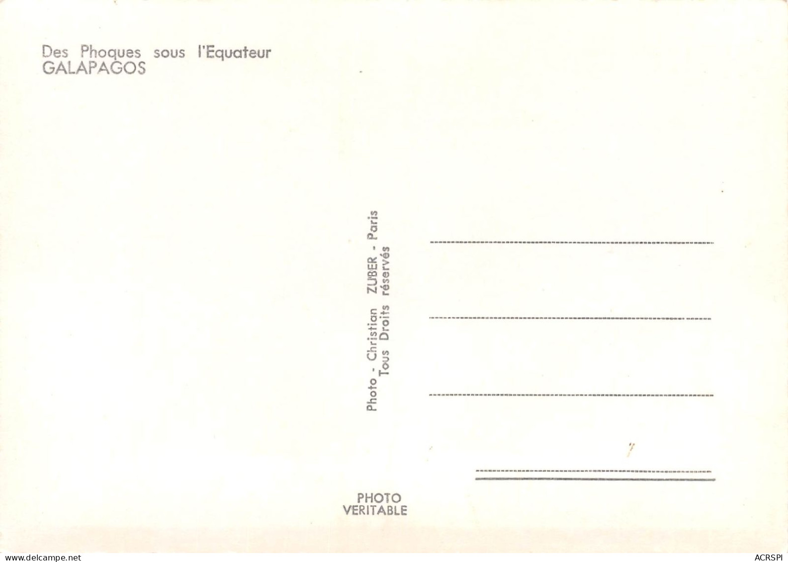 GALAPAGOS EQUATEUR Equator Des Phoques Sous L'équateur  Photo Christian ZUBER      34 (scan Recto Verso)MH2995 - Equateur