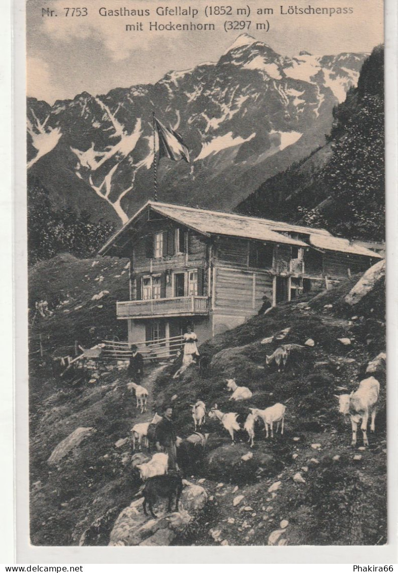 GASTHAUS GFELLALP AM LOTSCHENPASS - Wiler