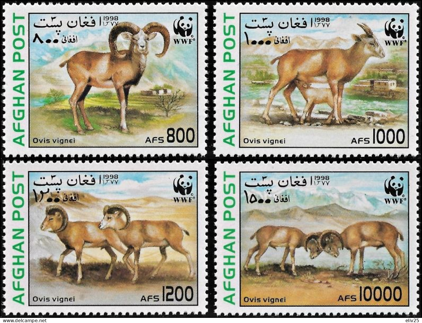 Afghanistan 1998, WWF Urial - 4 V. MNH - Ungebraucht