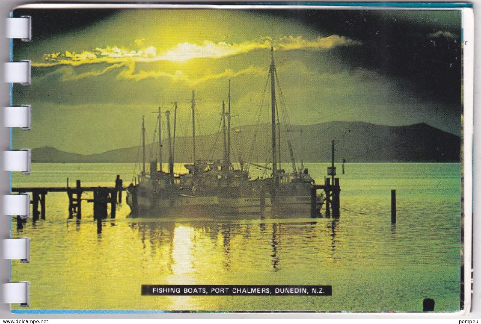 QT - Pictures of NEW ZELAND (souvenir)