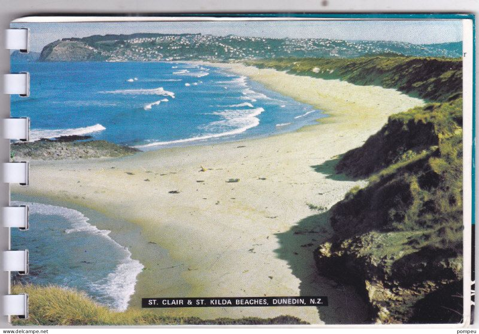 QT - Pictures of NEW ZELAND (souvenir)