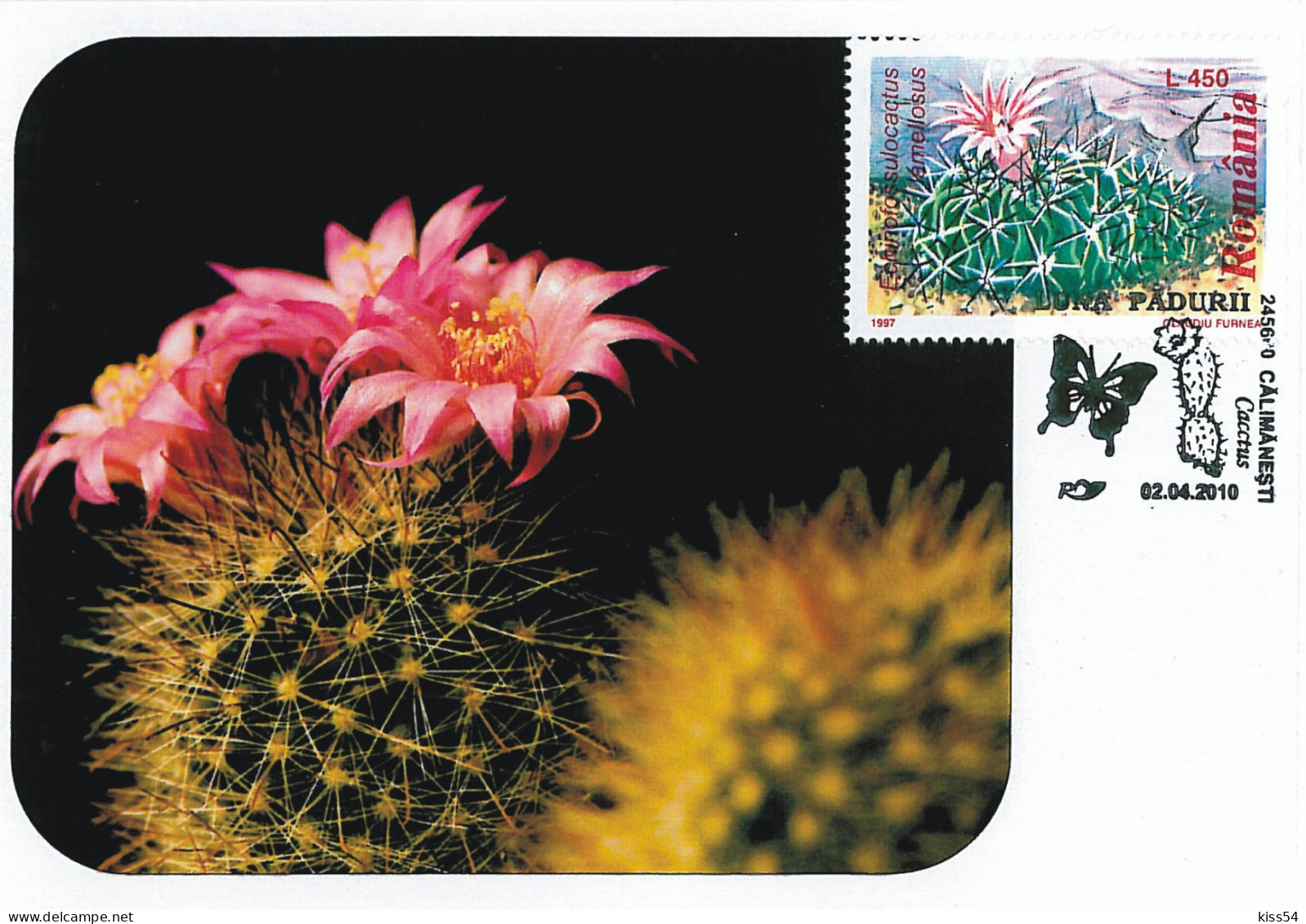 MAX 54 - 209 CACTUSSE, Romania - Maximum Card - 2010 - Cactusses