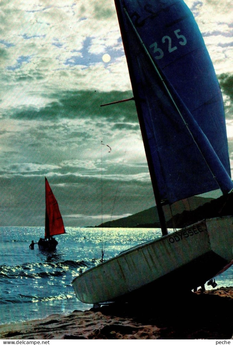 N° 63 Z -cpsm Voilier - Sailing