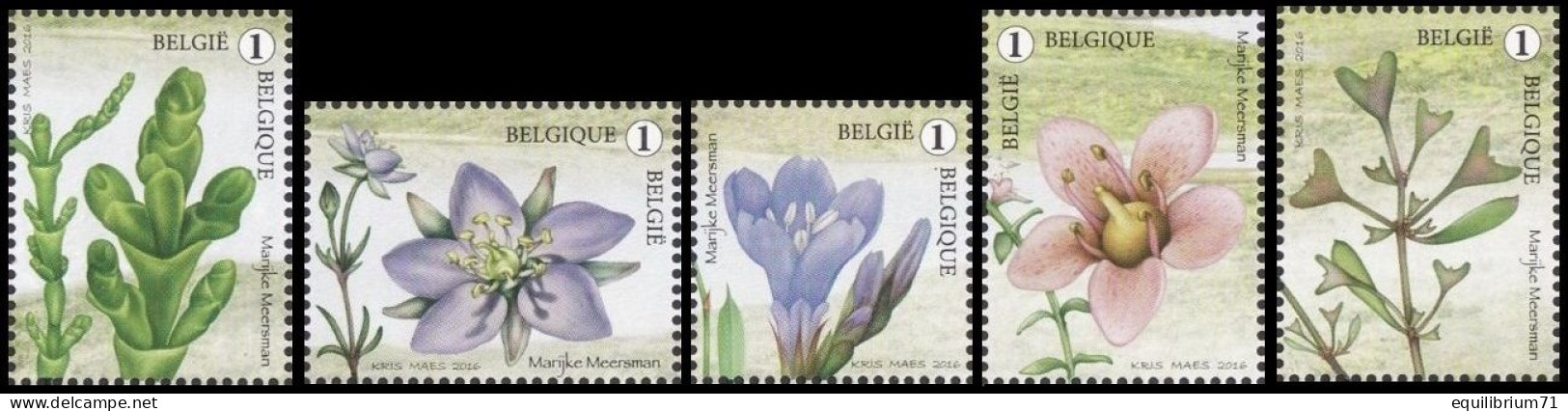4606/4610**(BL238) - Le Nouveau / Het Nieuwe / Der Neu / The New - Zwin - MEERSMAN - Unused Stamps